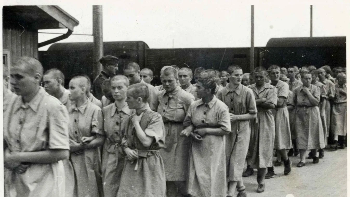 Auschwitz 