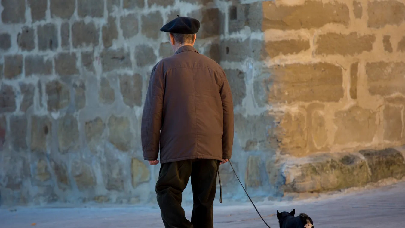 Old man walking his chihuahua dog in the streets of Laguardia, Northern Spain 1 Companion pet Dog lead Espana EUROPE EUROPEAN European appearance Healthy Laguardia Lifestyle Local people Northern Spain 