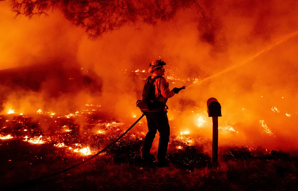 tűz, USA, Egyesült Államok, nyugati partvidék, fire Horizontal 