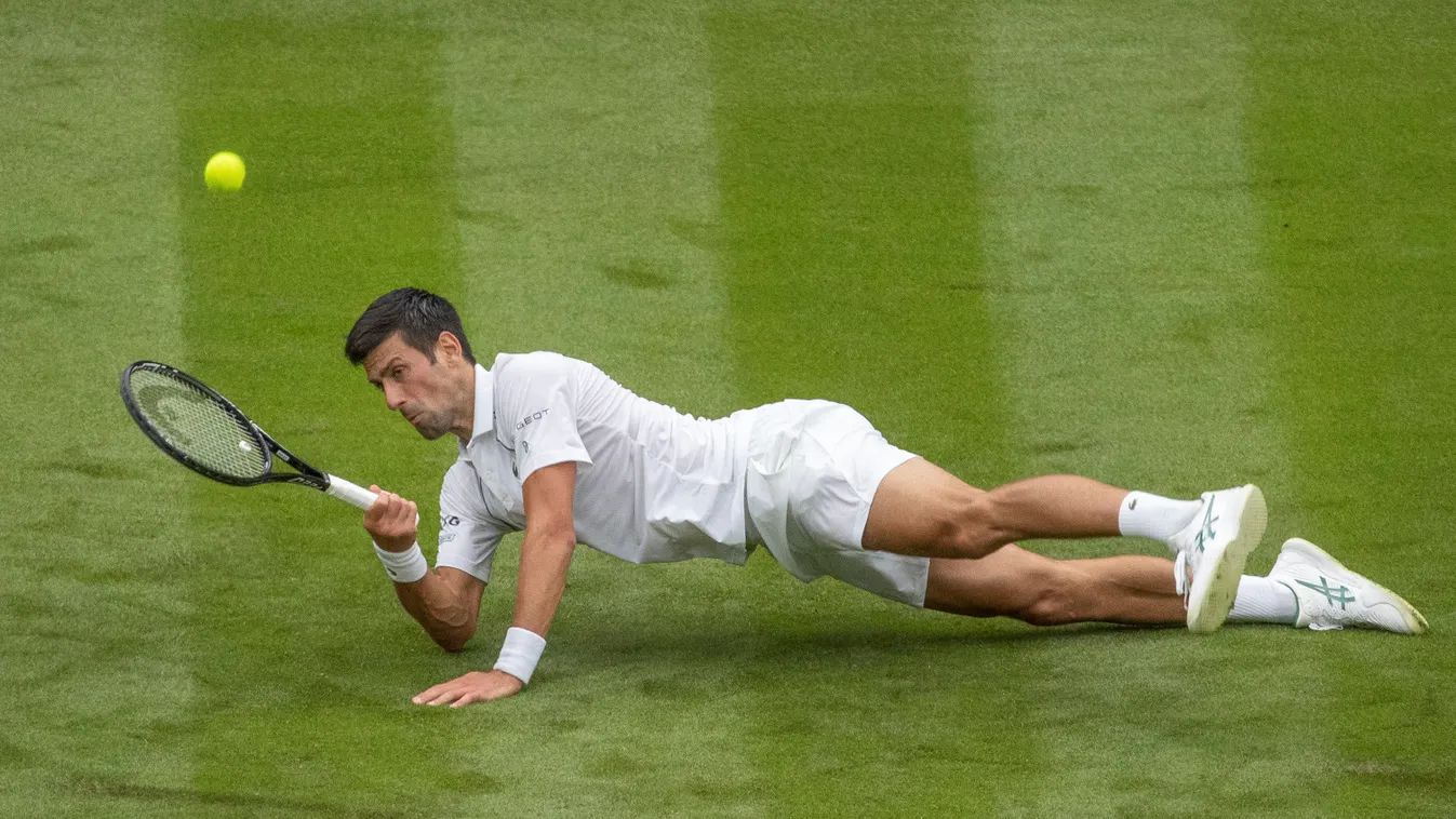 Novak Djokovic tenisz Wimbledon 