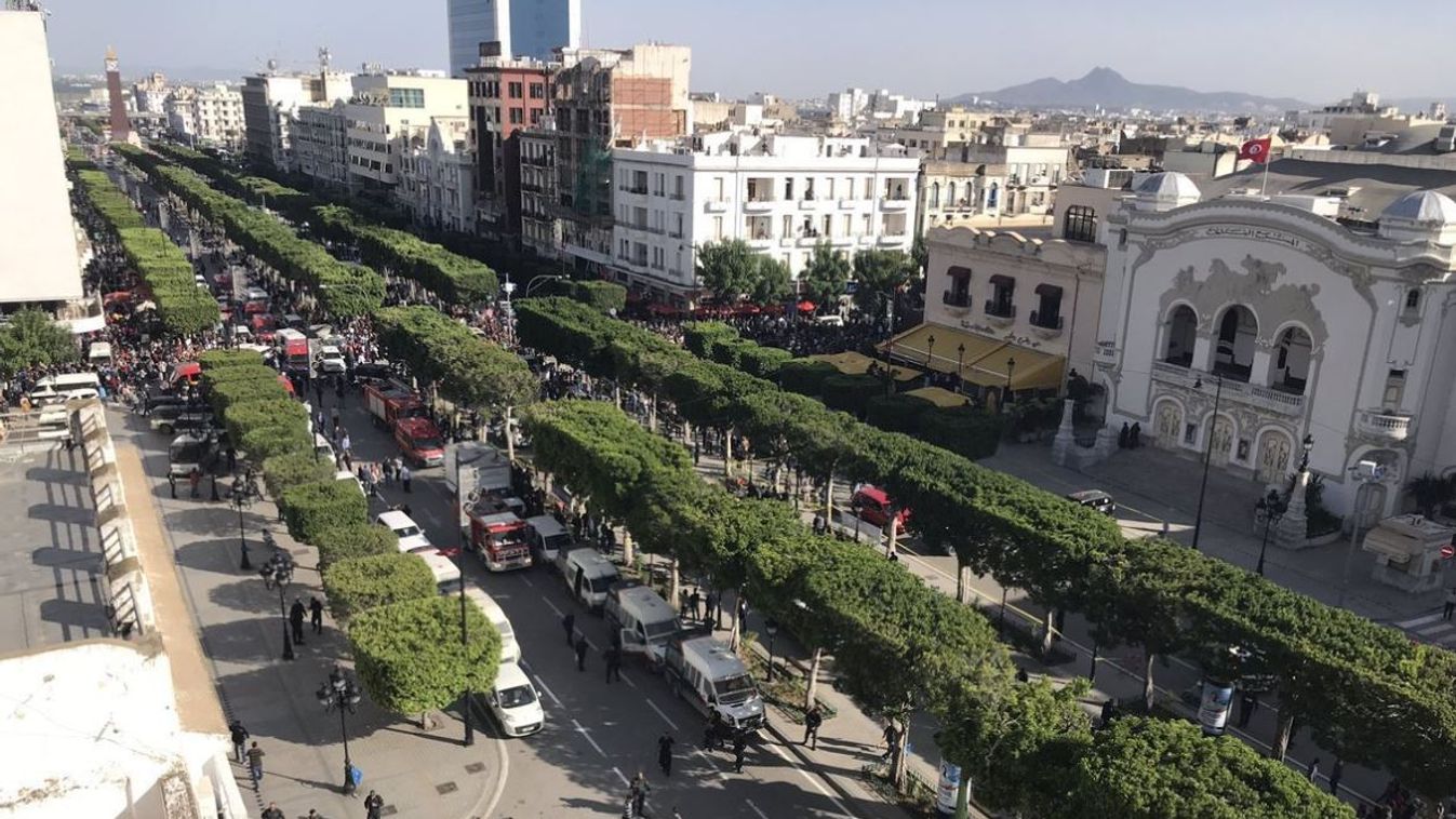 Tunézia, robbantás, terrortámadás 