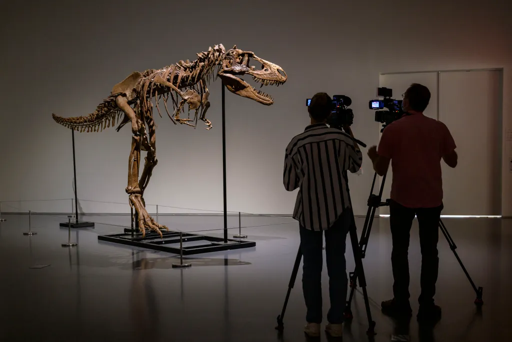 Dinoszaurusz-csontváz a Sotheby’s árverésen, dinoszaurusz, csontváz, árverés, régészeti lelet, Gorgosaurus, Sotheby's aukciós ház, New York 