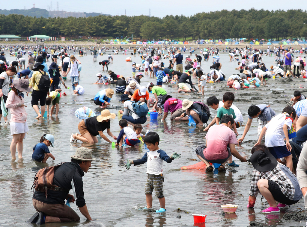Japán kagyló Jokohama 