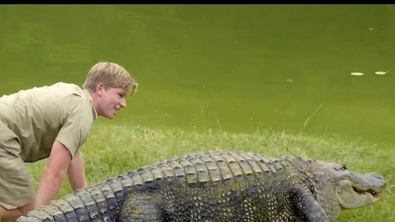 Robert Irwin és egy krokodil 