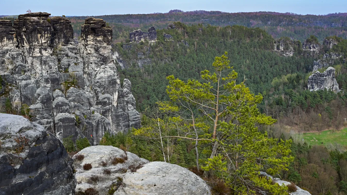 Bastei, szikla, homokszikla, képződmény, kilátó, természeti, sziklatorony, Szász Svájc, Németország, Nemzeti, park 