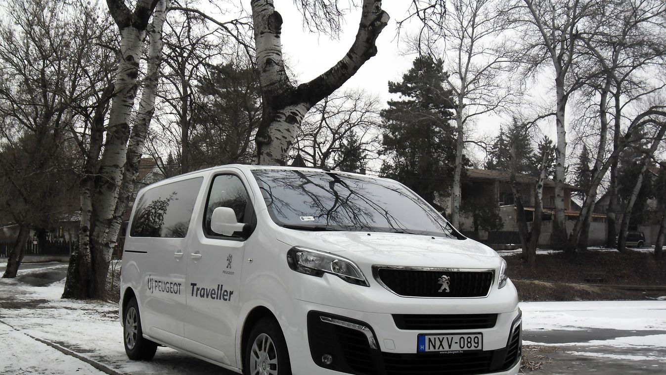 Peugeot Traveller 