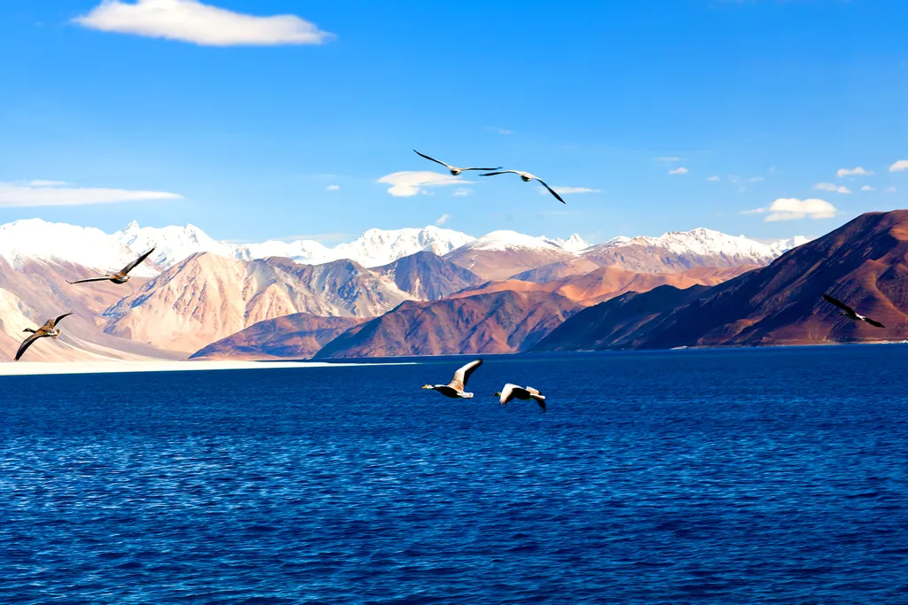 Pangong, tó, Tibet, Ladakh, 