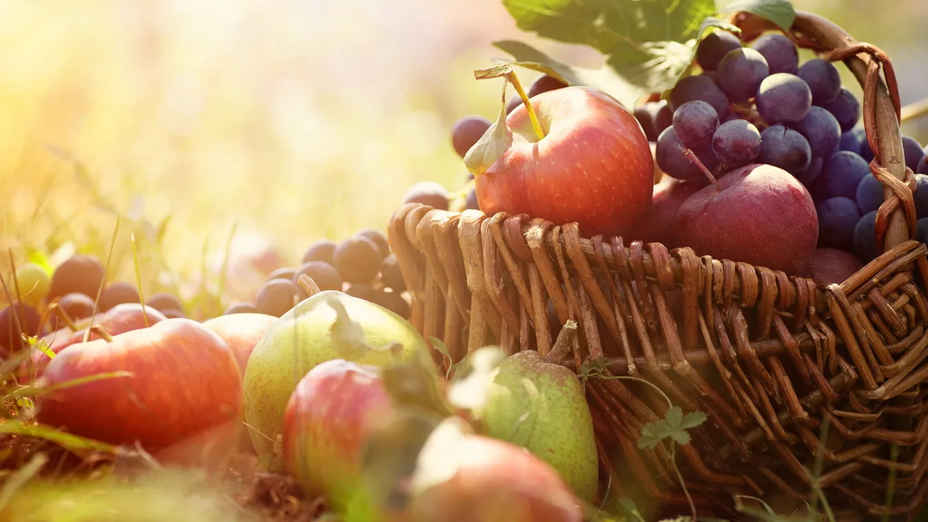 Az őszi gyümölcsök segítenek szépséged megőrzésében 