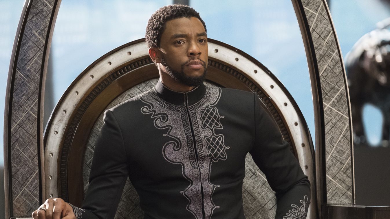 Black Panther Cinema marvel adventure superhero black hero fantasy AFRICAN MAN PORTRAIT KING THRONE 
