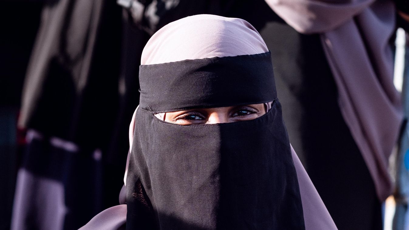 Danish burka-ban becomes effective on August 1st causing demonstrations both for and against - DEMO AGAINST Islam RELIGION 