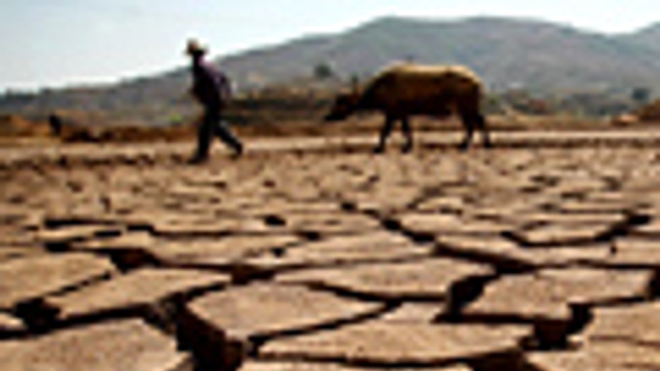 Klímaváltozás, száraság, egy kínai gazdálkodó bivalyával Szecsuán tartományban