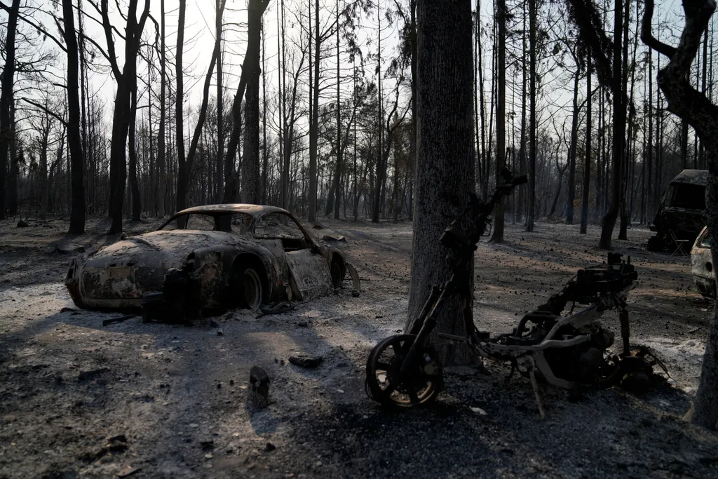 Erdőtűz Görögországban, tűz, erdő, galéria, 2021 