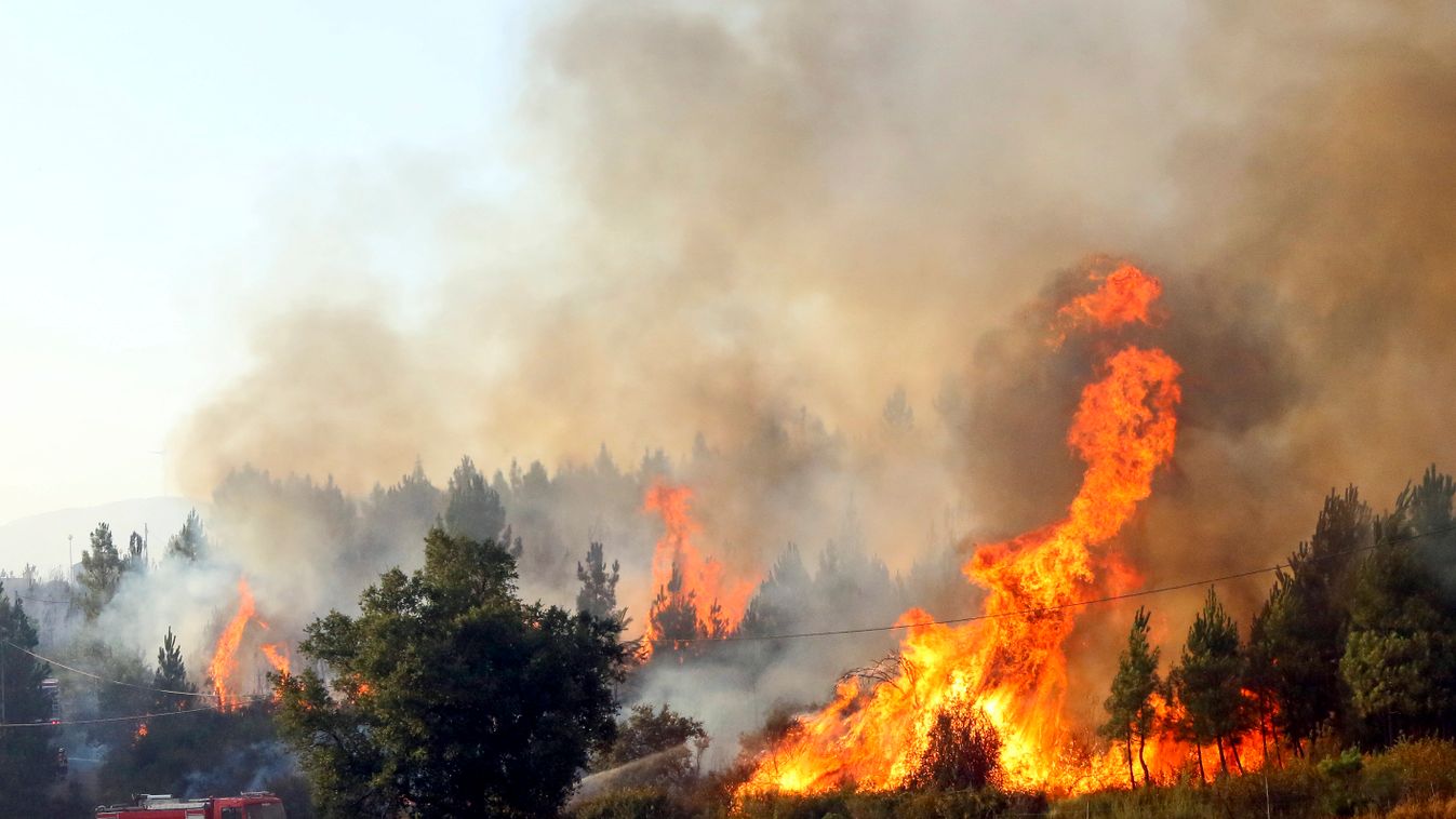 Portugália, erdőtűz, tűz 