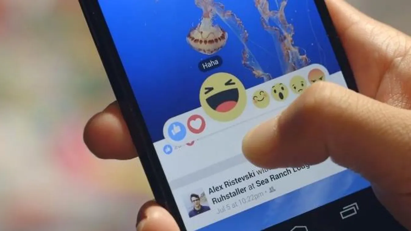 facebook reactions haha reakció wow 