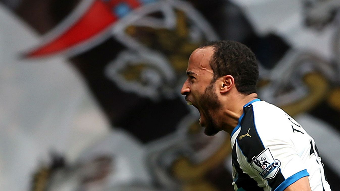 Newcastle United, Andros Townsend, foci 