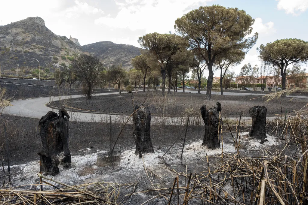 Pusztító erdőtűz Szicília weather climate fire Horizontal 