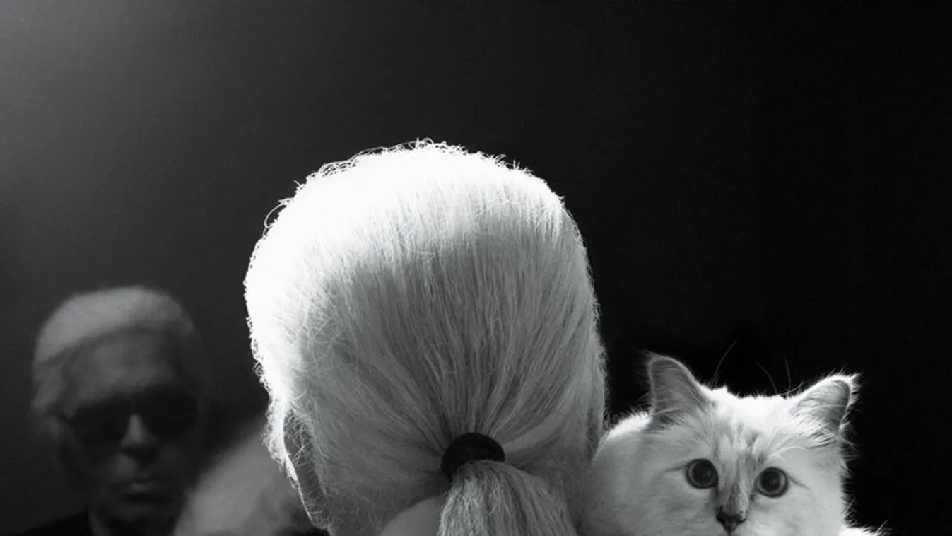Choupette, Karl Lagerfeld 