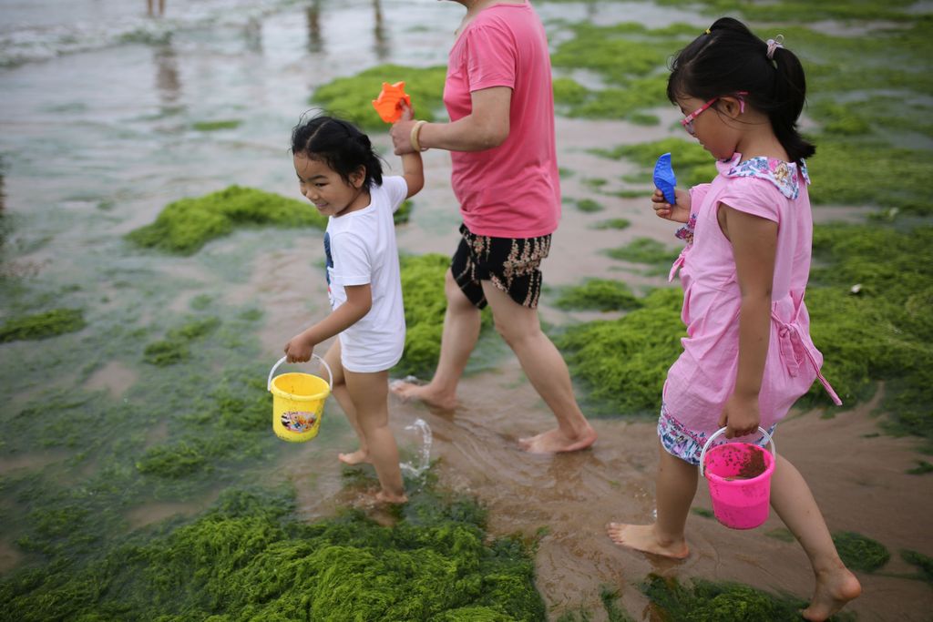 Kína alga tengerpart Csingtao strand 