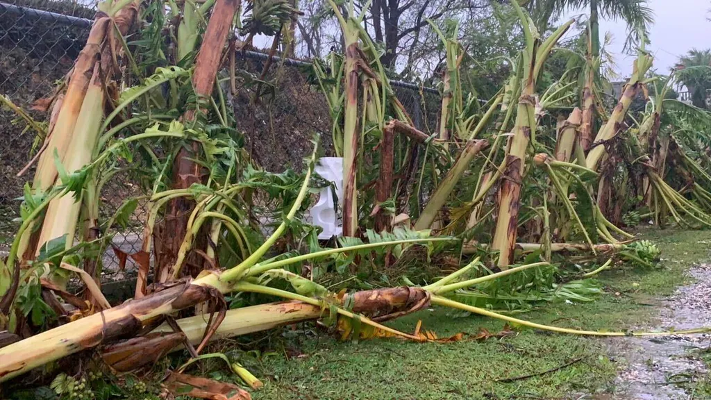 tájfun Tumon öböl Egyesült Államok Guam 