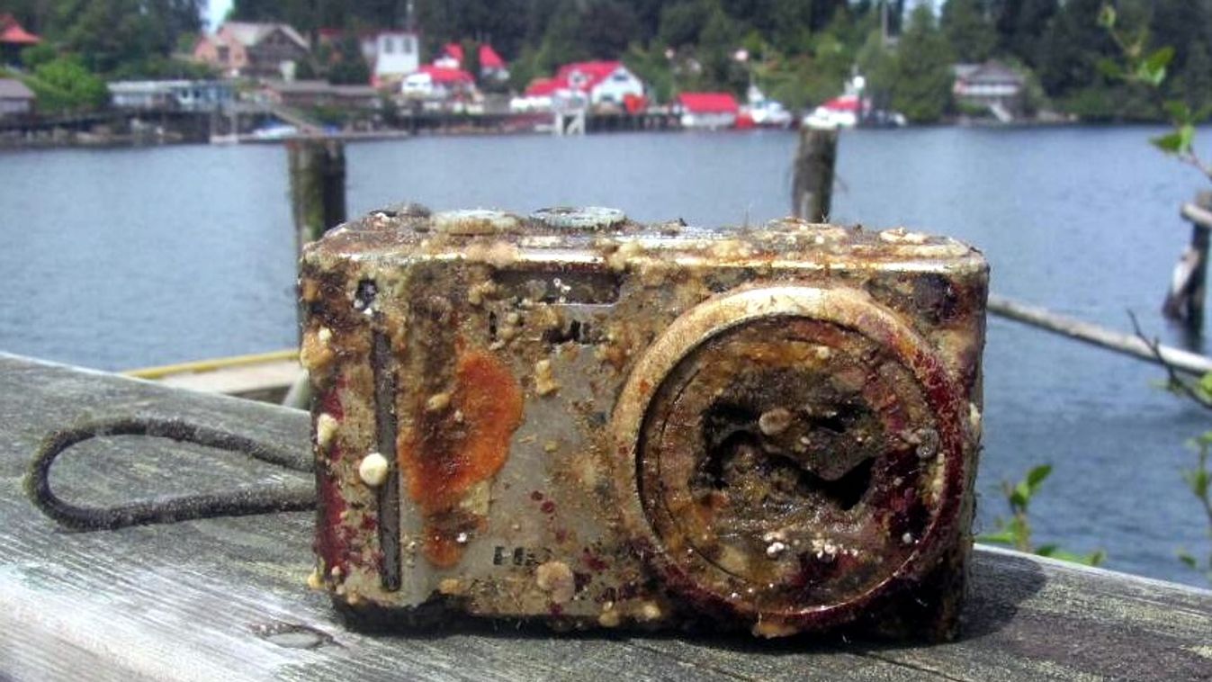 hajótörött fényképezőgép 