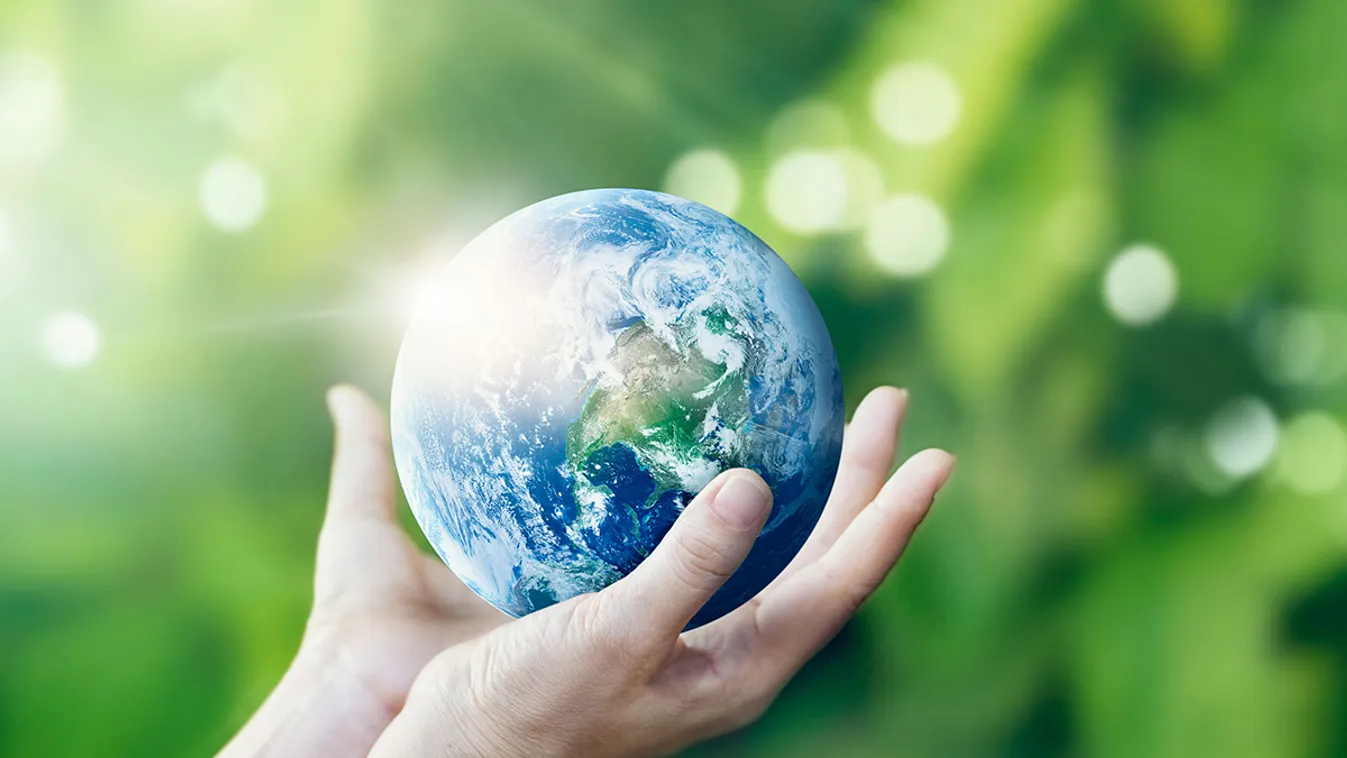 Október 21. - A Földünkért világnap: 5 tipp a környezettudatosabb élethez környezetvédelem 