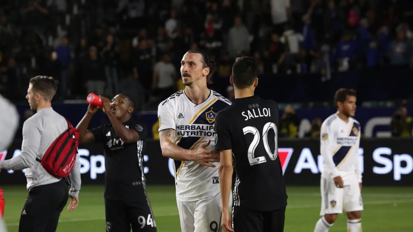 Zlatan Ibrahimovic, Sallói Dániel 