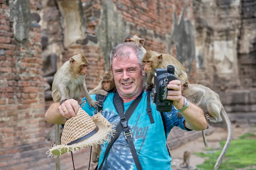 Lopburi Thaiföld makákó majom 