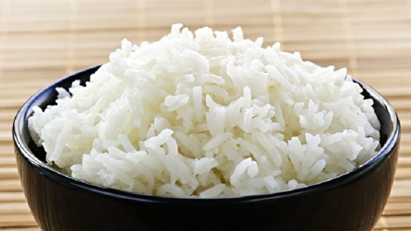 rizs, tudomány 
