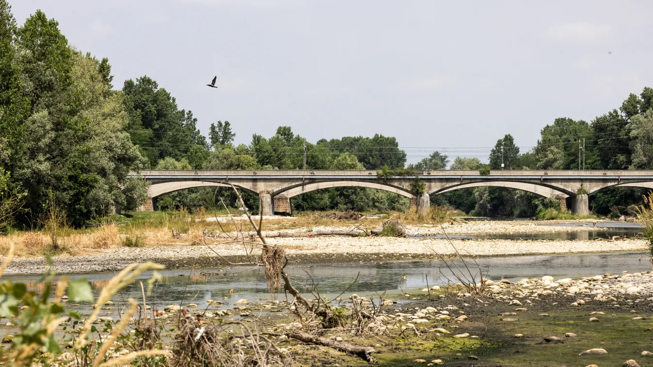 Drought In Northern Italy: The Aridity Of The Orco River Turin World arid change cimate change crisis desertification disaster dry dryness ecosystem effect environmental ground hot impact land natural nature outdoor po river river rural soil torino tree w