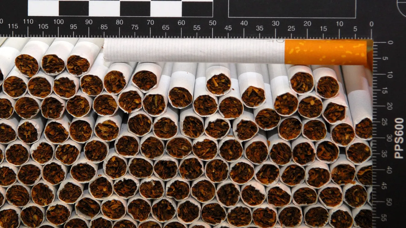 dohányzás nemdohányzó FOTÓ FOTÓTÉMA gyár illegális cigarettagyár tárgyfotó Vecsés, 2015. február 2.
A Nemzeti Adó- és Vámhivatal (NAV) által 2015. február 10-én közreadott képen cigaretták a Vecsésen felszámolt illegális cigarettagyárban. A telep 