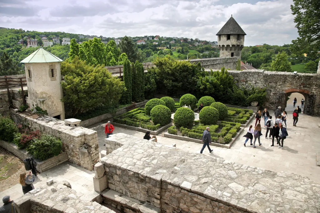 Koronavírus, vírus, Budapest, előtte-utána 