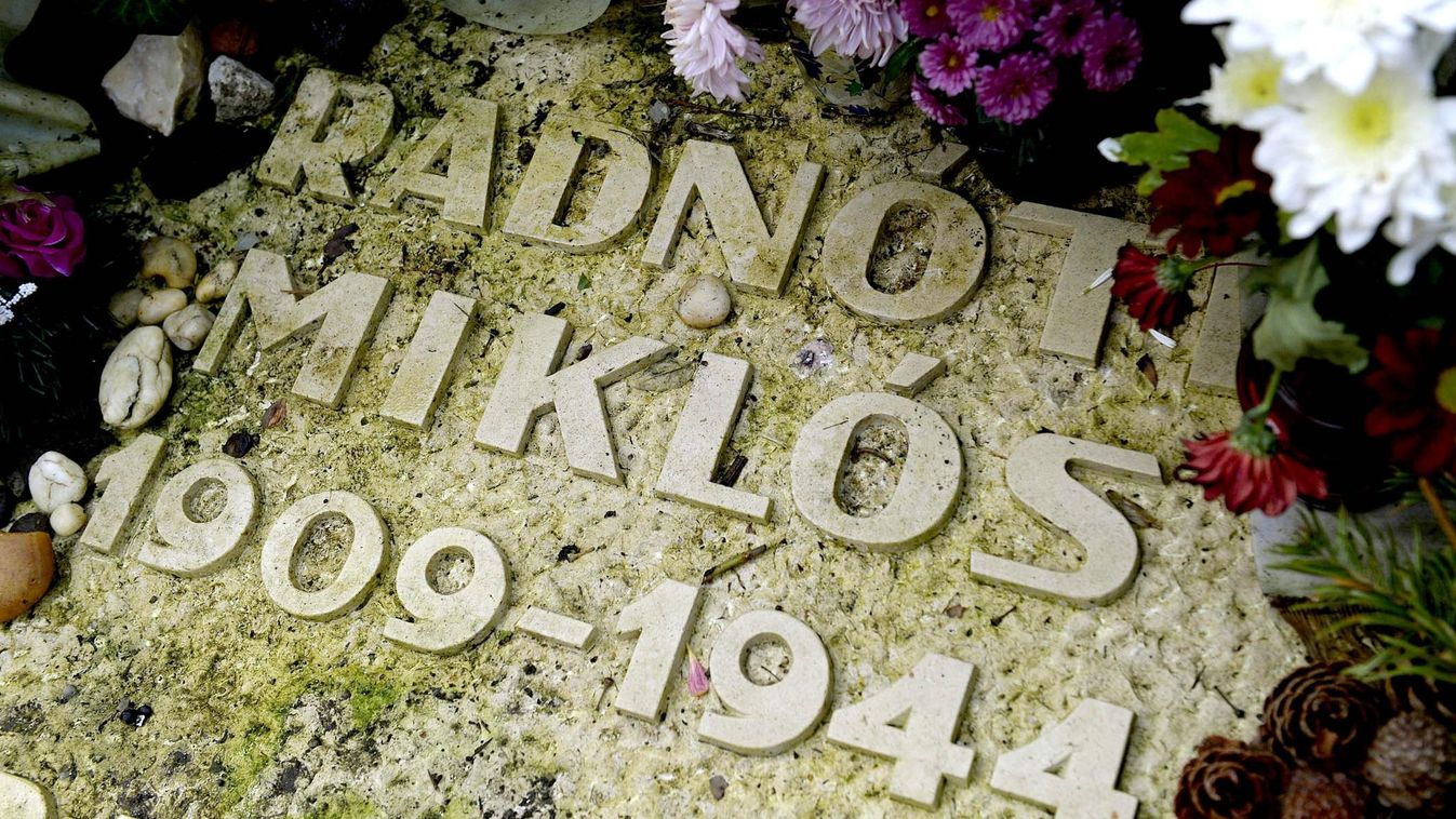felirat FOTÓ ÁLTALÁNOS NÖVÉNY síremlék sírkő TEMETŐ virág FOTÓ ÁLTALÁNOS NÖVÉNY síremlék sírkő TEMETŐ virág Budapest, 2014. november 9.
Radnóti Miklós sírja a Fiumei úti Nemzeti Sírkertben a költő halálának 70. évfordulóján, a Holokauszt-emlékév keretében