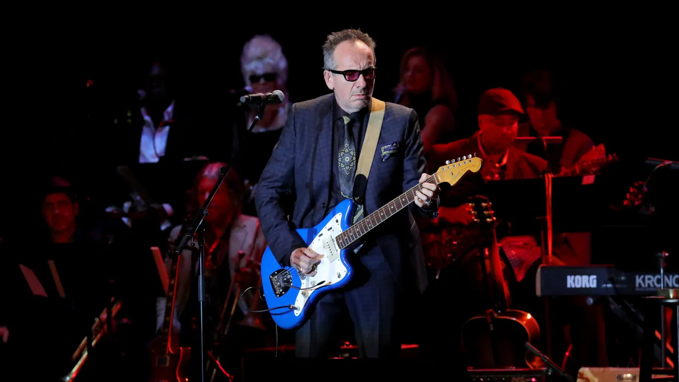 Elvis Costello 