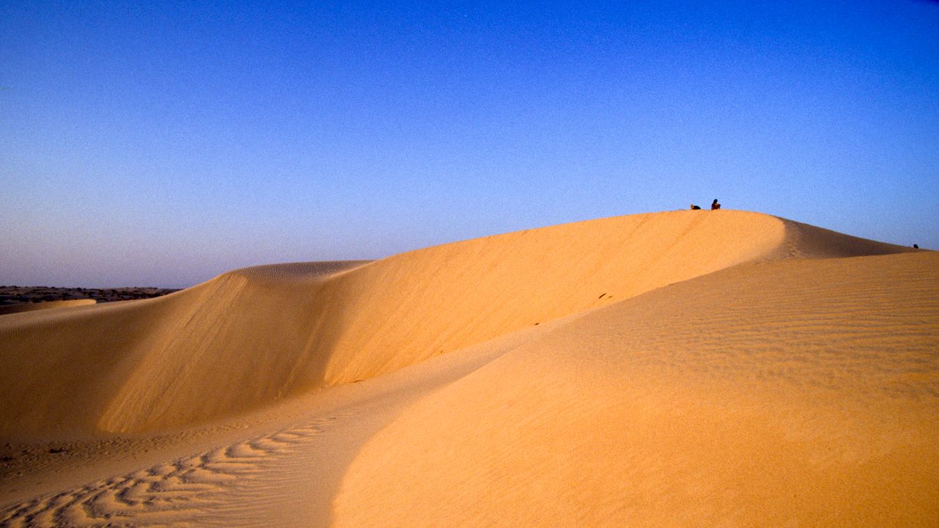 homok, sivatag AFRICA DESERT dry dune LANDSCAPE MAGHREB North Africa SAHARA SAND Tunisia 