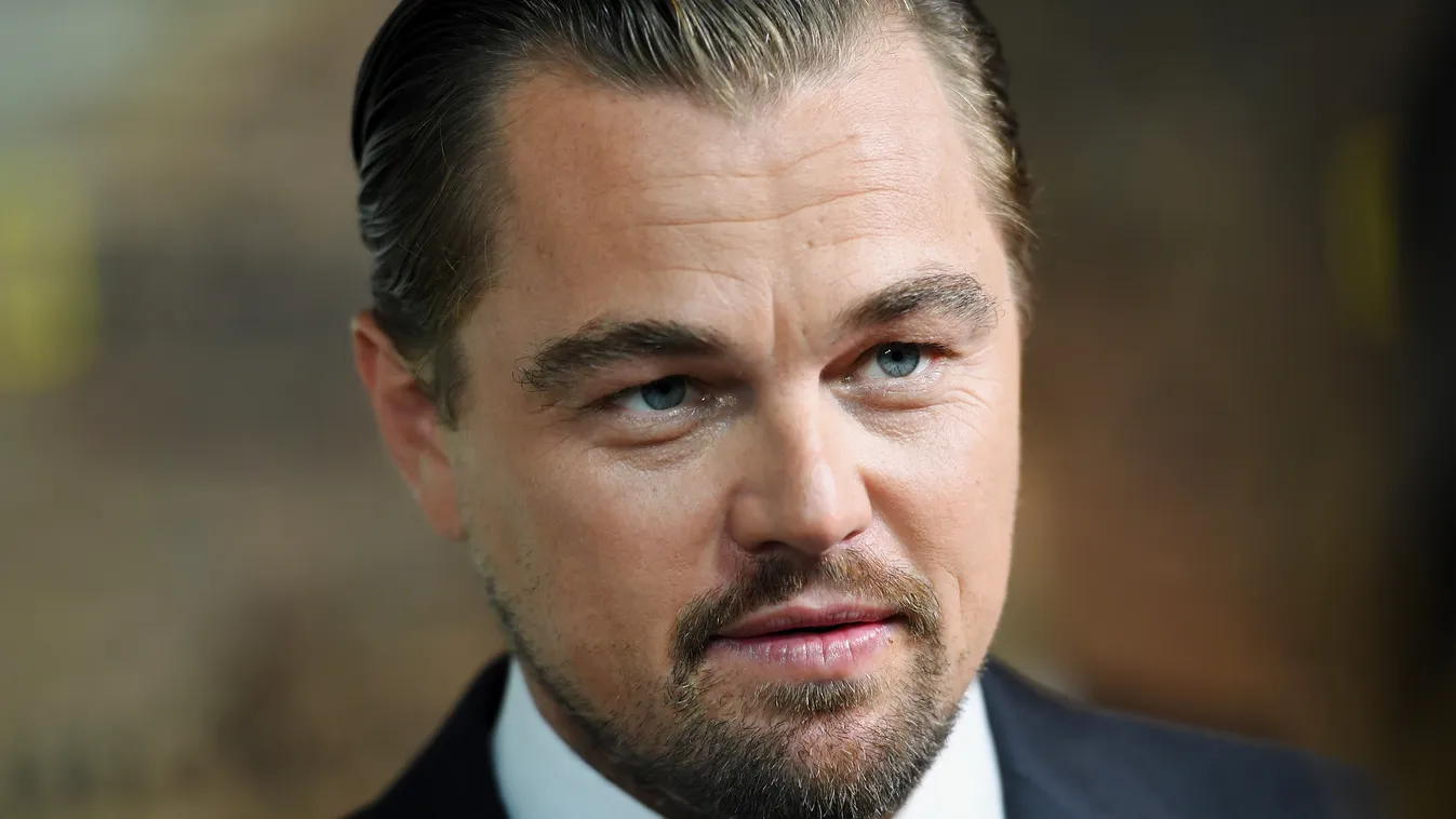 Leonardo DiCaprio Hírességek, akik valószínűleg sosem fognak az oltár elé állni család 
