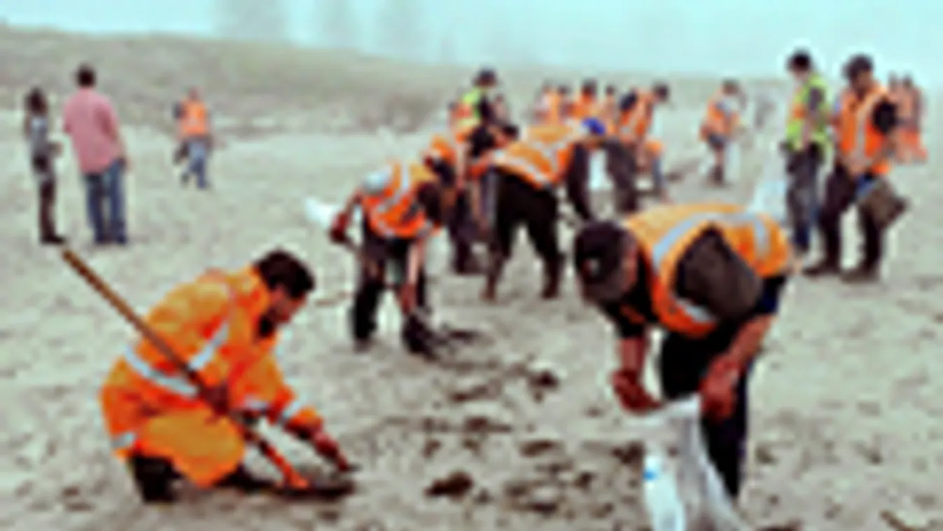 Új-Zéland, olajszennyezés, tisztíják a tengerpartot, Mount Maunganui
