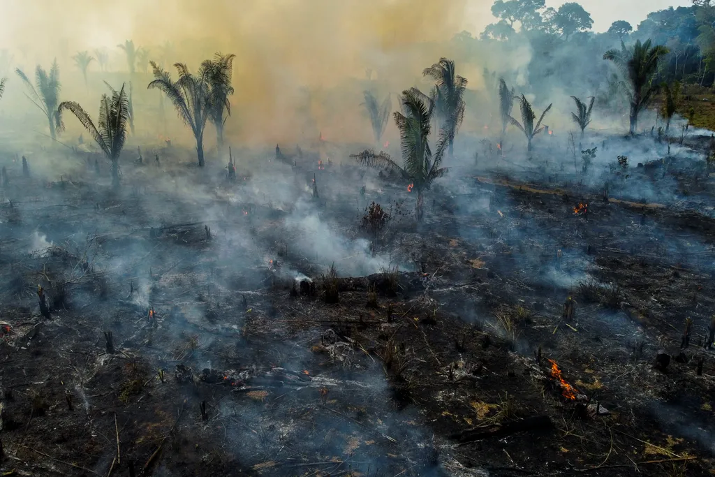 fire environment Horizontal Tűz az Amazonas őserdőben 