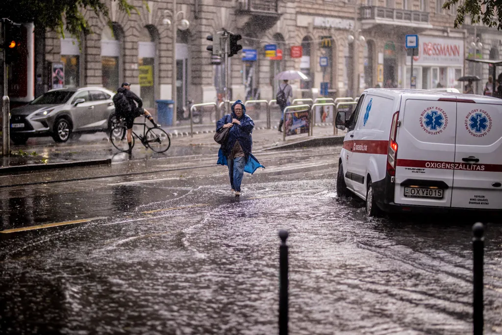2021.07.19. Budapest, eső, esernyő, vihar, kidőlt fa, pocsolya, víz, gyalogos, autó, közlekedés, utazás, utas, 