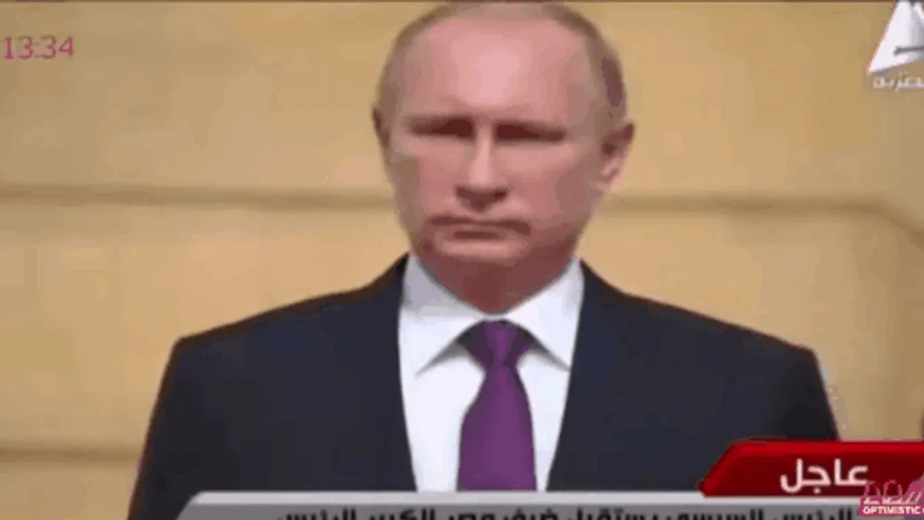Putyin, csámcsog gif 