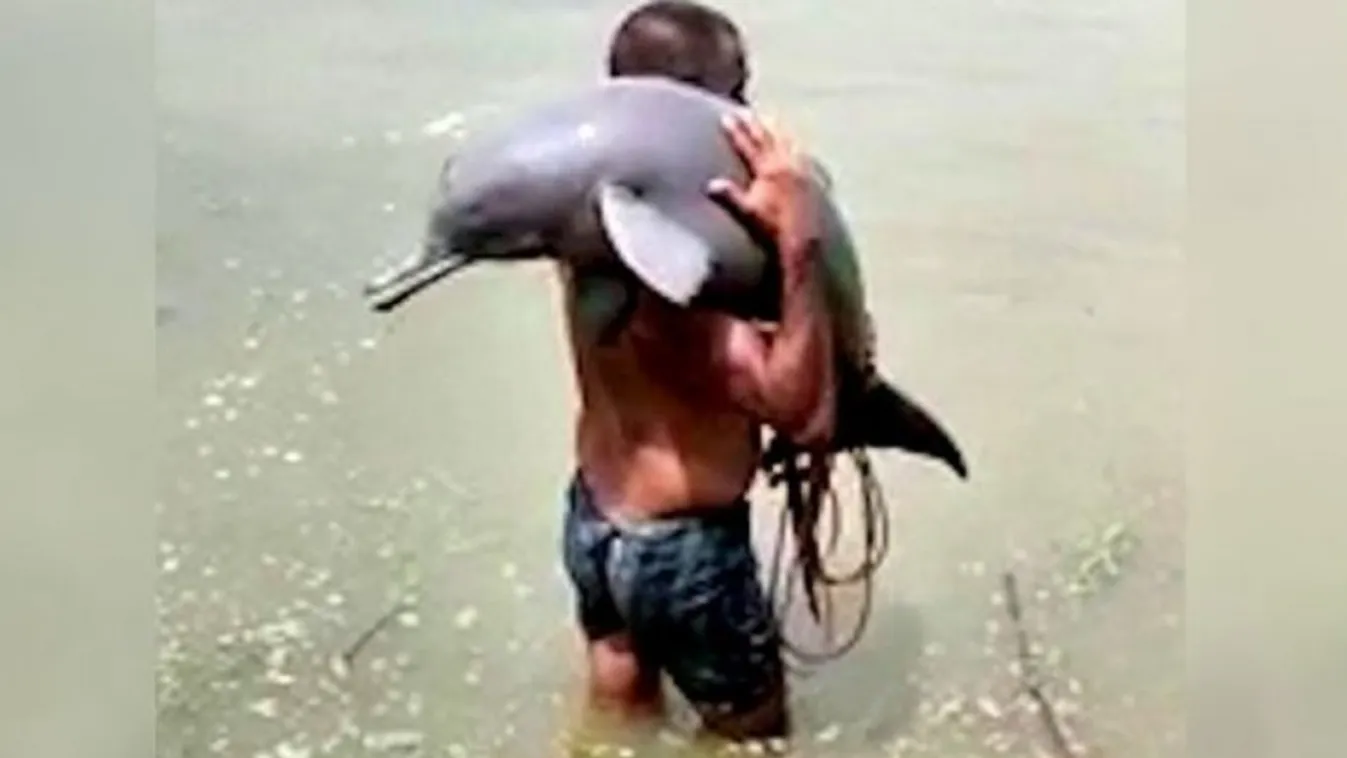 delfin, india 