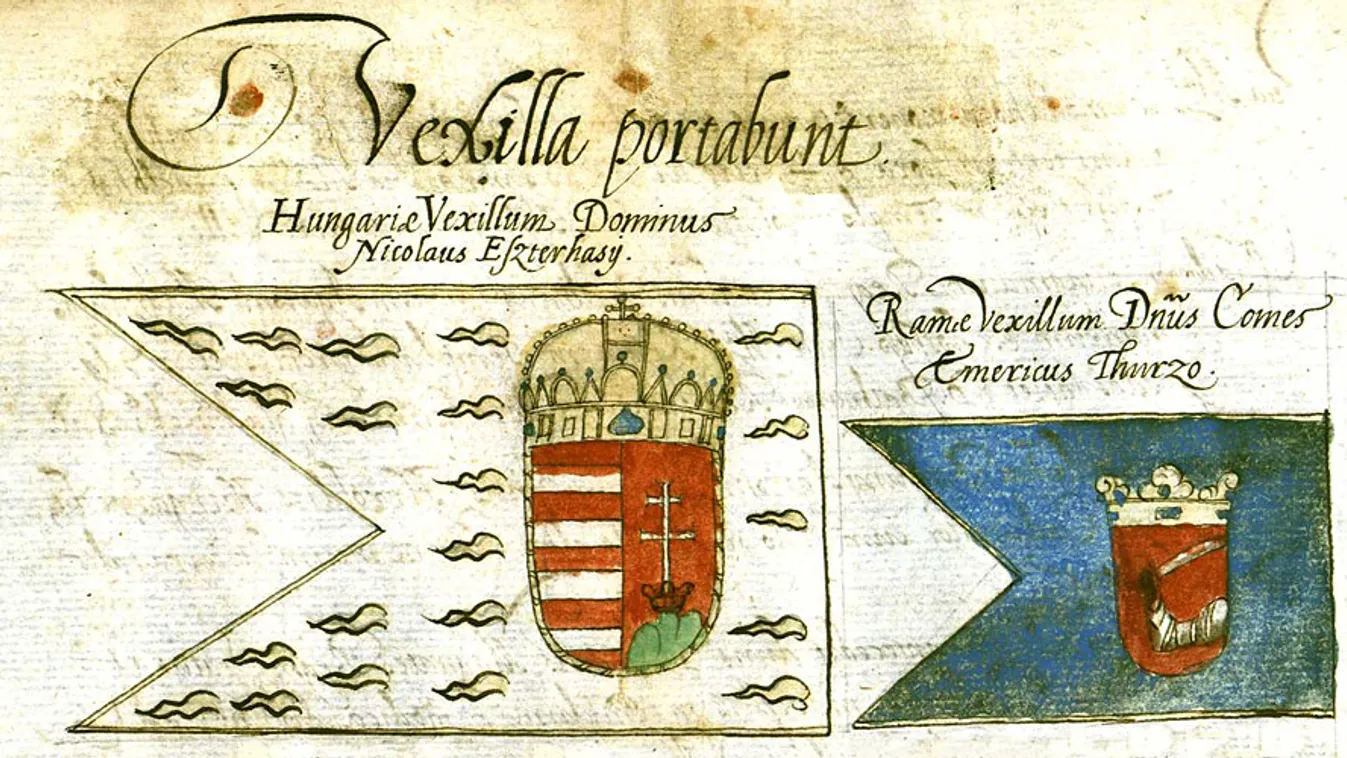 magyar zászló, II. Ferdinánd 1618. évi koronázásának előkészítő dokumentumai, tíz ország zászlajának külleme
