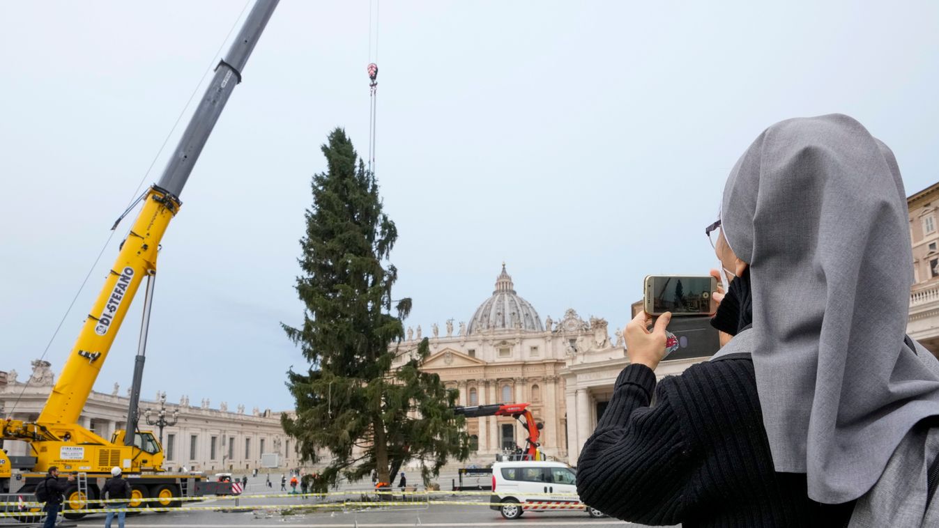 Vatikán, karácsony, karácsonyfa 