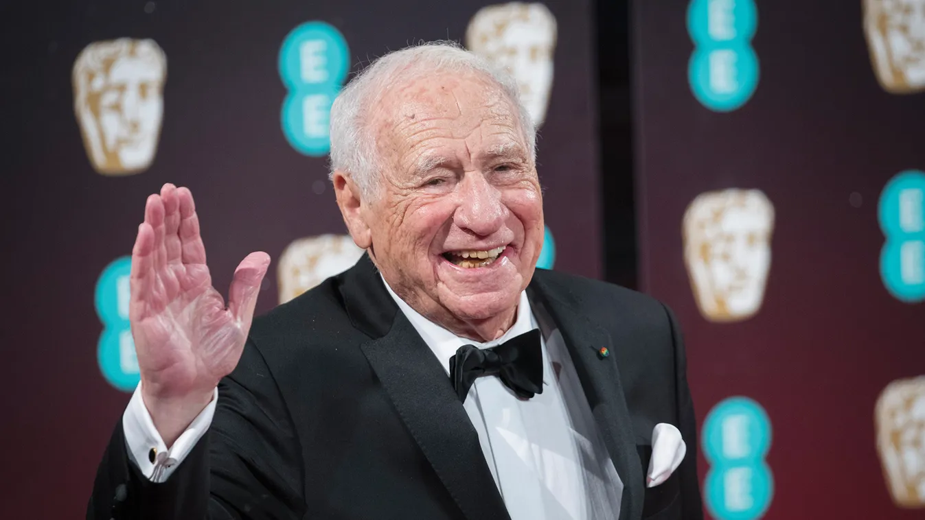 Mel Brooks 