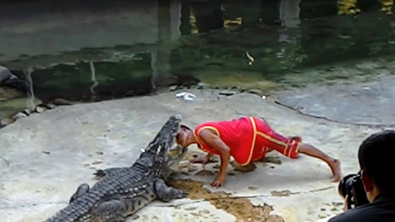 Krokodilfarm Bangkok 
