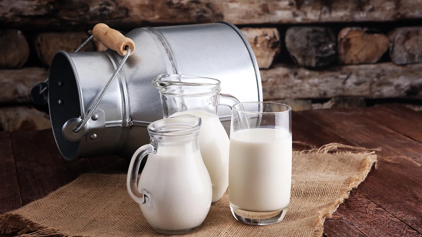 A tejcukor-érzékenység kialakulása és formái 