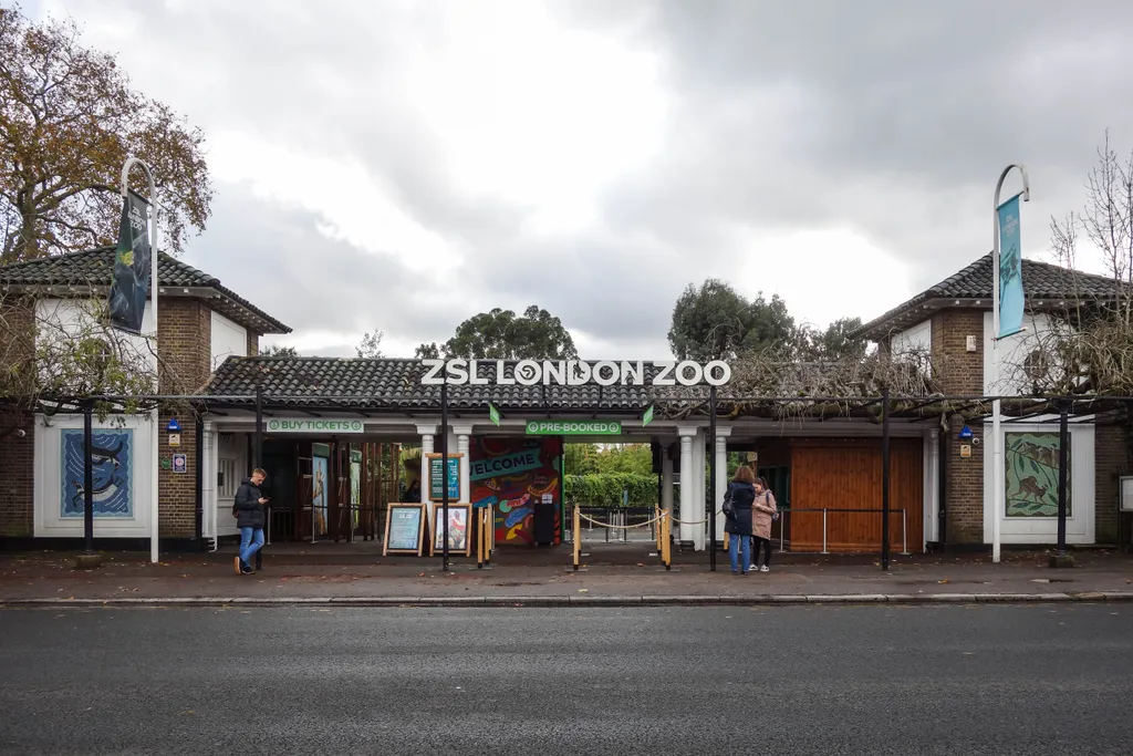 10 legnagyobb állatkert a világon - galéria 2021.09.21. 9. London Zoo, England
 London,,England,-,November,14,,2019:,People,Outside,The,Entrance entrance sign,london,city,exterior,destination,sign,historical,t 