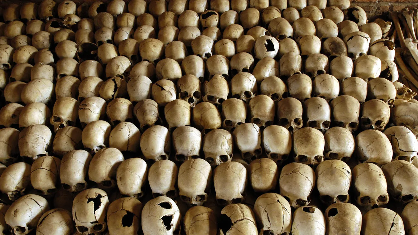 20 éve volt a ruandai népirtás, az áldozatok koponyái 