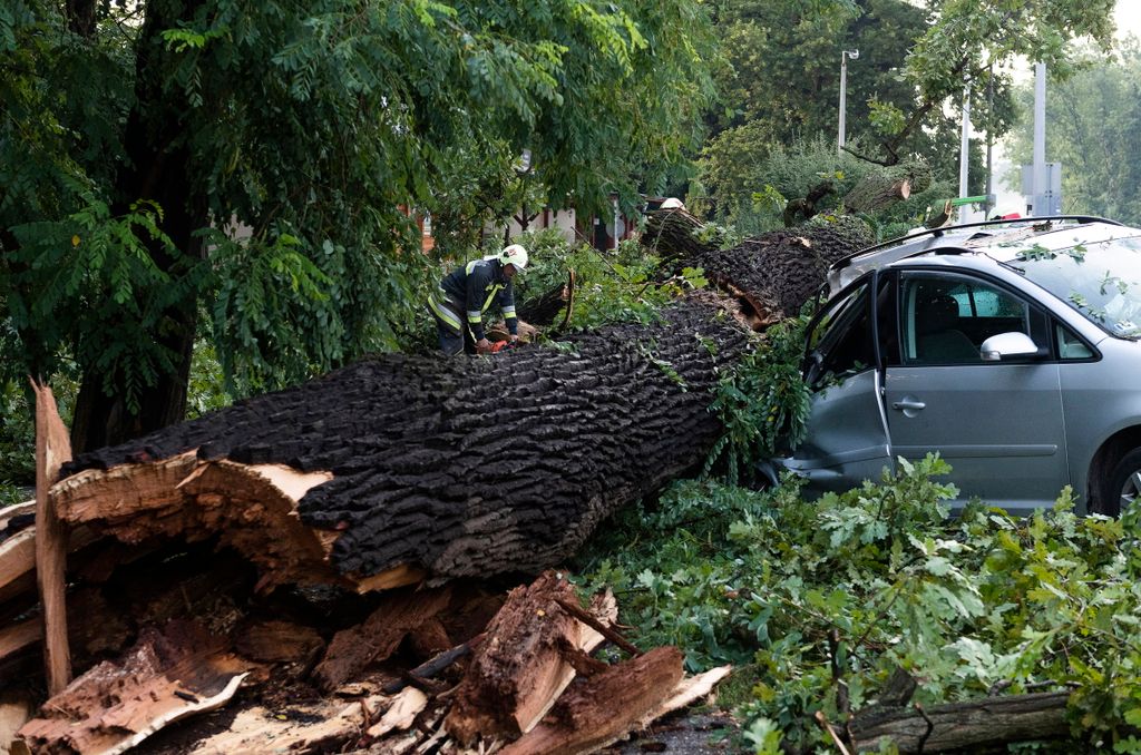 Nyíregyháza, 2021. augusztus 1.
Autóra borult fákat távolítanak el vihar után Nyíregyházán, a Sóstói úton 2021. augusztus 1-jén.
MTI/Balázs Attila 
