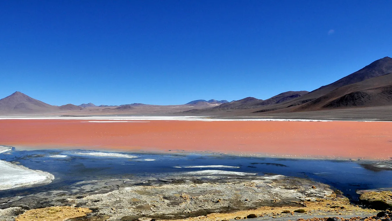 Laguna Colorada Bolívia 