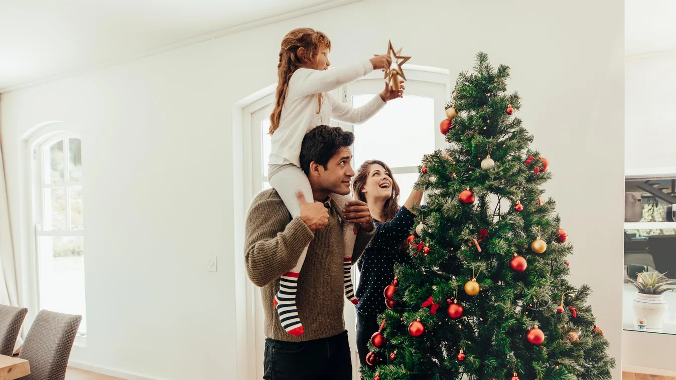 Miért állítod fel a karácsonyfát már novemberben? karácsonyfa 